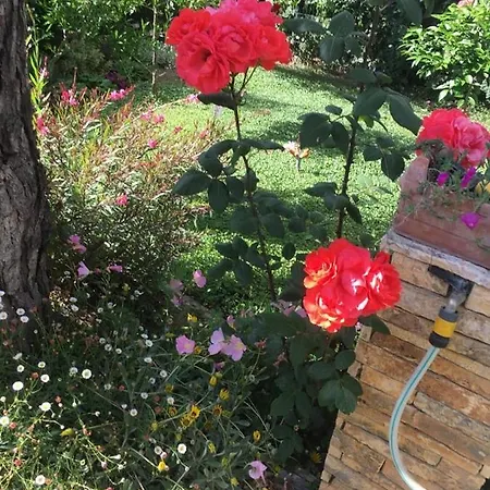 Garden Villa Lura Hébergement de vacances Durrës